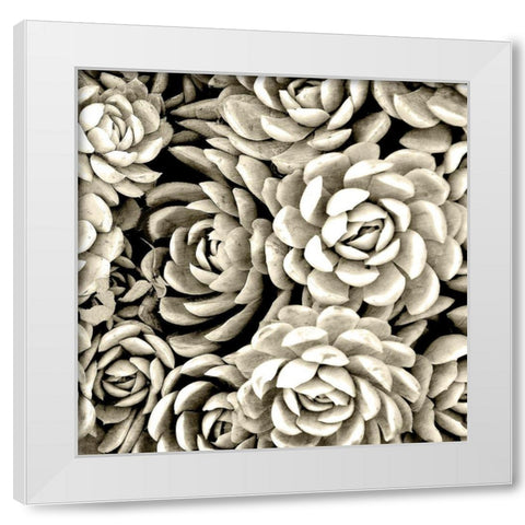 Succulent Mono White Modern Wood Framed Art Print by Allen, Kimberly