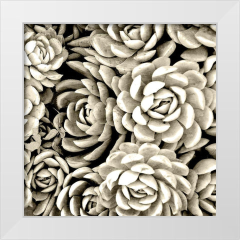 Succulent Mono White Modern Wood Framed Art Print by Allen, Kimberly