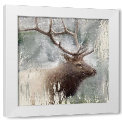 Wildlife 2 White Modern Wood Framed Art Print by Allen, Kimberly