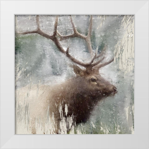 Wildlife 2 White Modern Wood Framed Art Print by Allen, Kimberly