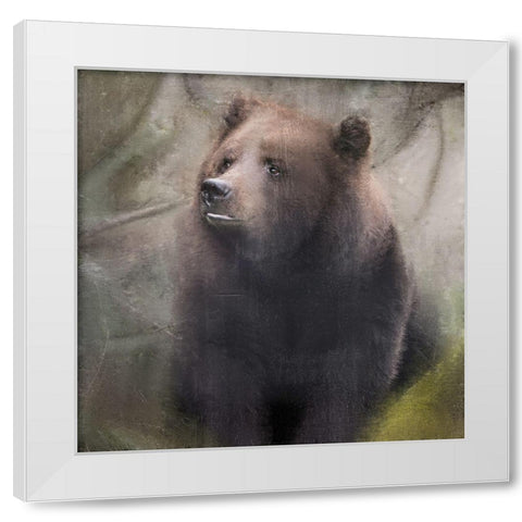 In the Forest White Modern Wood Framed Art Print by Allen, Kimberly