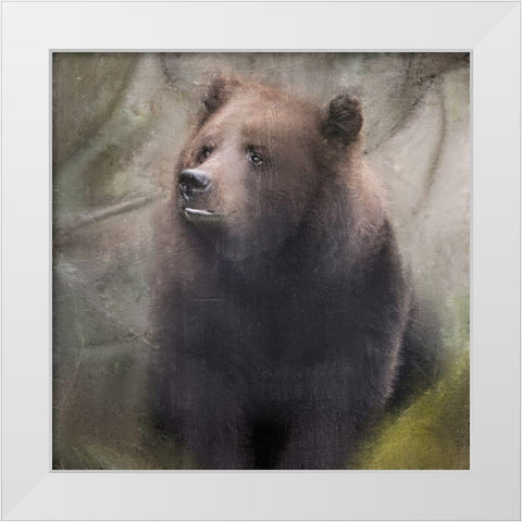 In the Forest White Modern Wood Framed Art Print by Allen, Kimberly