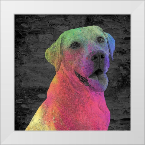 Lab White Modern Wood Framed Art Print by Allen, Kimberly