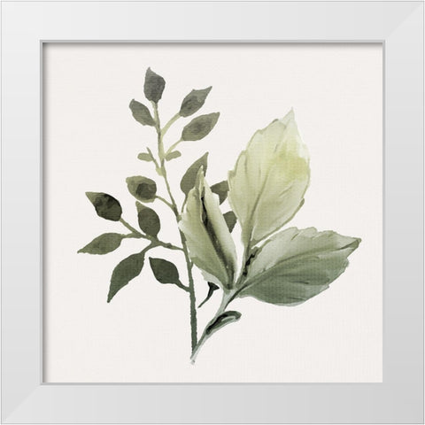 Watercolor Sage 2 White Modern Wood Framed Art Print by Allen, Kimberly