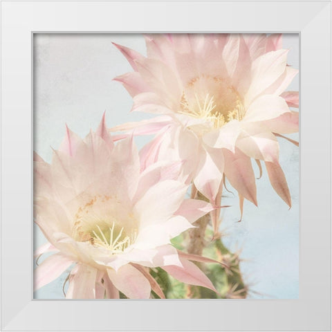Cactus Bloom White Modern Wood Framed Art Print by Allen, Kimberly