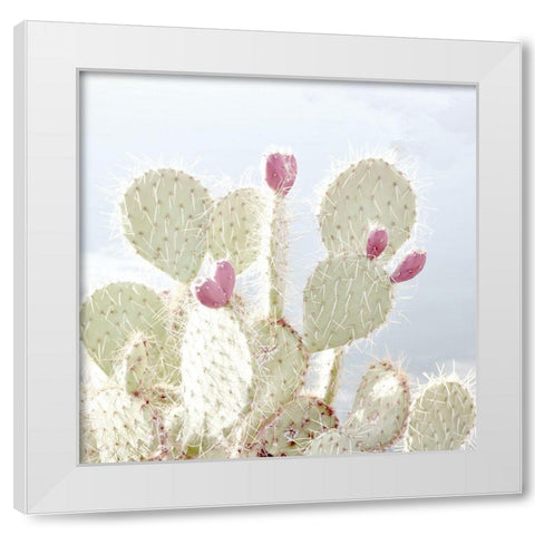 Cactus Blossom White Modern Wood Framed Art Print by Allen, Kimberly