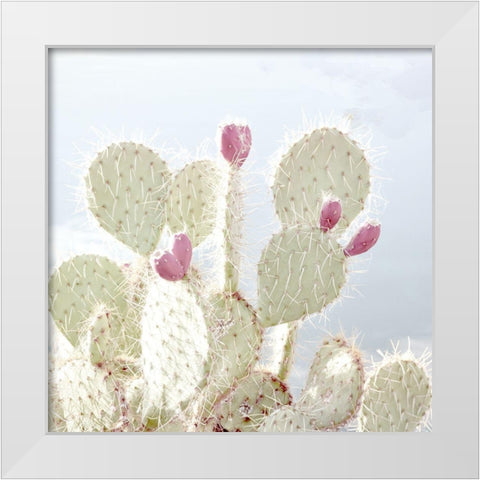 Cactus Blossom White Modern Wood Framed Art Print by Allen, Kimberly