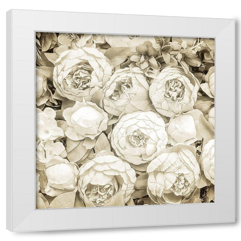 Dried Roses White Modern Wood Framed Art Print by Allen, Kimberly