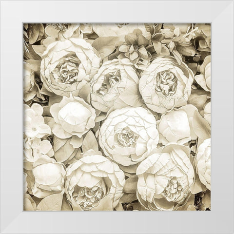 Dried Roses White Modern Wood Framed Art Print by Allen, Kimberly