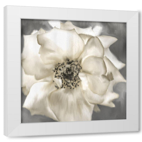 Golden Rose White Modern Wood Framed Art Print by Allen, Kimberly