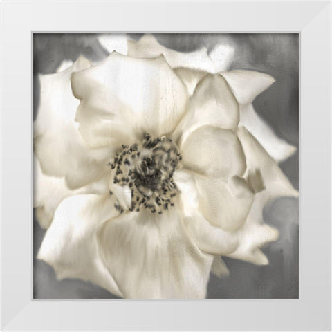 Golden Rose White Modern Wood Framed Art Print by Allen, Kimberly