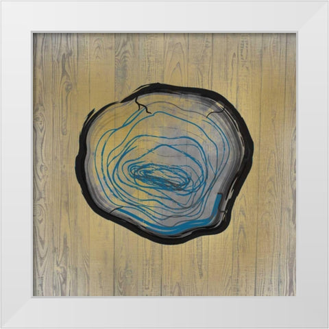 Country Minerals 1 White Modern Wood Framed Art Print by Allen, Kimberly