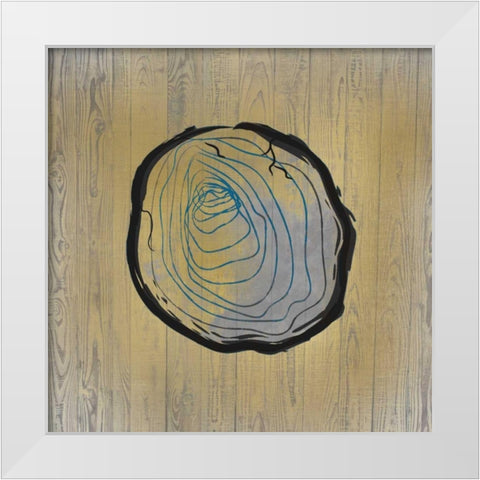 Country Minerals 2 White Modern Wood Framed Art Print by Allen, Kimberly