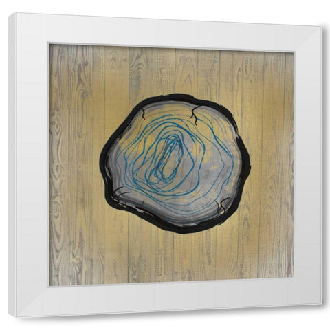 Country Minerals 3 White Modern Wood Framed Art Print by Allen, Kimberly