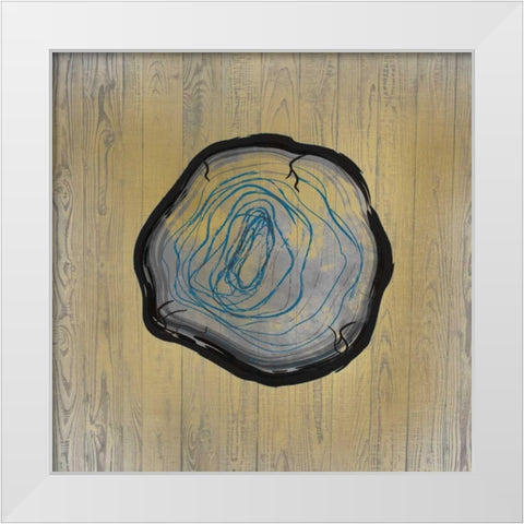 Country Minerals 3 White Modern Wood Framed Art Print by Allen, Kimberly