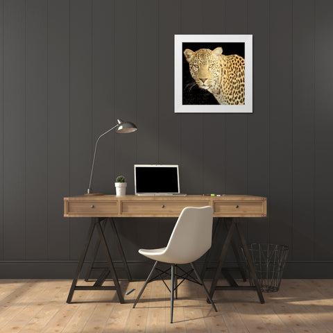Refuge Leopard 2 V2 White Modern Wood Framed Art Print by Allen, Kimberly
