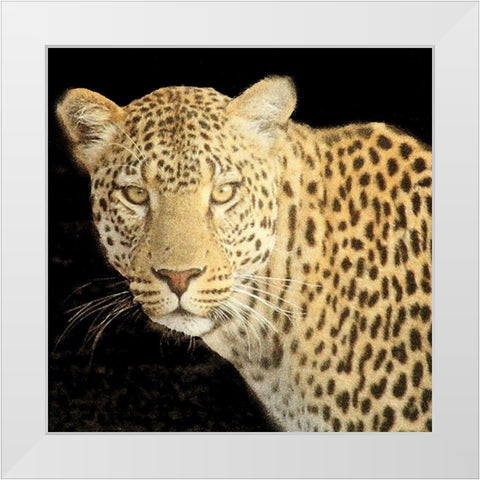 Refuge Leopard 2 V2 White Modern Wood Framed Art Print by Allen, Kimberly