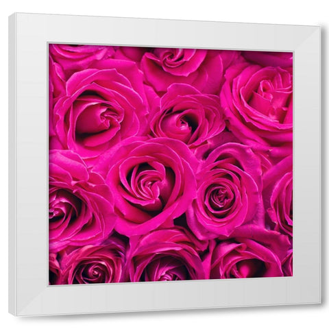 Paris Rose 3 White Modern Wood Framed Art Print by Allen, Kimberly