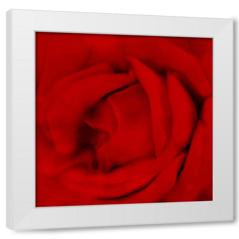 Red Umbrella Paris 2 White Modern Wood Framed Art Print by Allen, Kimberly