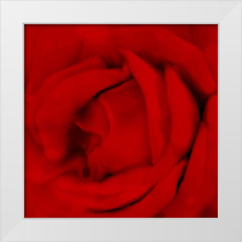 Red Umbrella Paris 2 White Modern Wood Framed Art Print by Allen, Kimberly