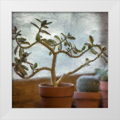 Window Planting White Modern Wood Framed Art Print by Allen, Kimberly