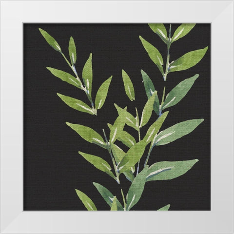 Black Greens 1 White Modern Wood Framed Art Print by Allen, Kimberly