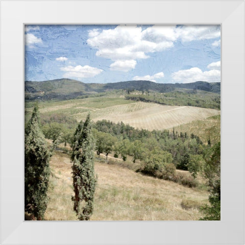 Tuscan Field White Modern Wood Framed Art Print by Allen, Kimberly