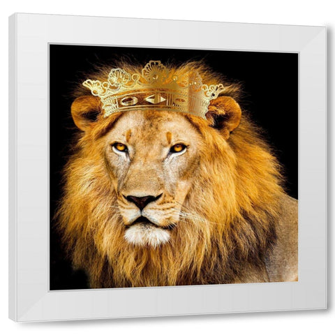 Do Not Fear 3 V2 White Modern Wood Framed Art Print by Allen, Kimberly