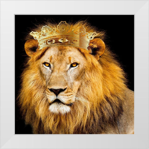 Do Not Fear 3 V2 White Modern Wood Framed Art Print by Allen, Kimberly