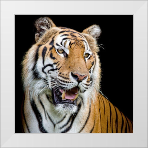 Do Not Fear 1 White Modern Wood Framed Art Print by Allen, Kimberly