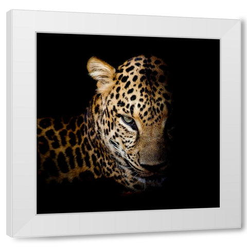 Faith Leopard 1 White Modern Wood Framed Art Print by Allen, Kimberly