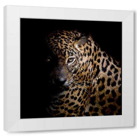 Faith Leopard 3 White Modern Wood Framed Art Print by Allen, Kimberly