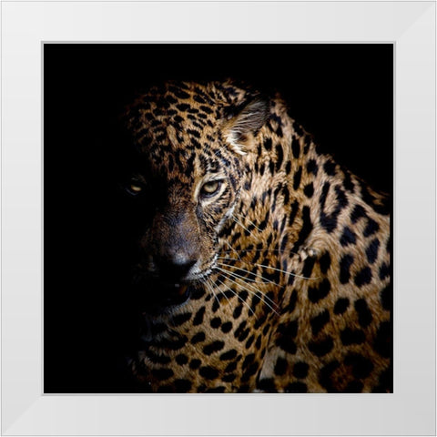 Faith Leopard 3 White Modern Wood Framed Art Print by Allen, Kimberly