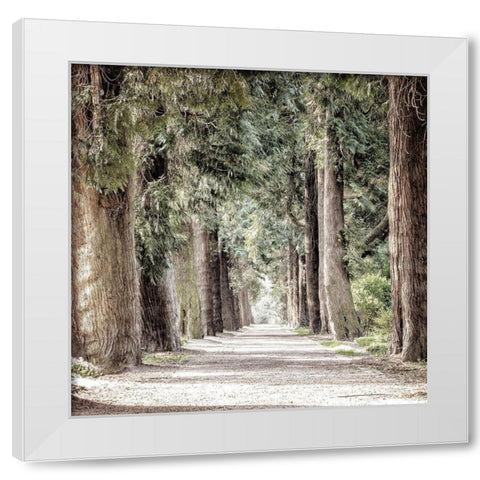 Path White Modern Wood Framed Art Print by Allen, Kimberly