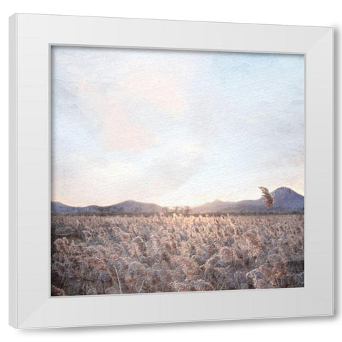 Field White Modern Wood Framed Art Print by Allen, Kimberly
