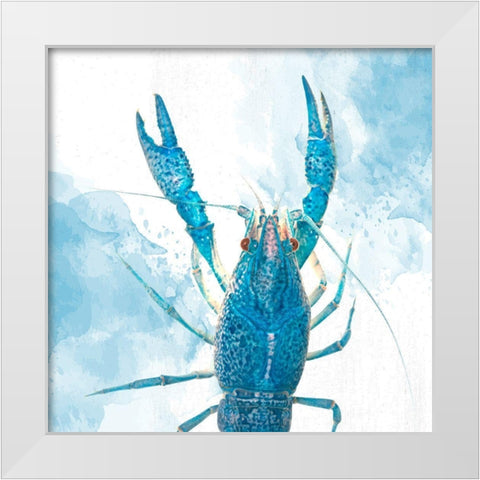 Crayfish White Modern Wood Framed Art Print by Allen, Kimberly
