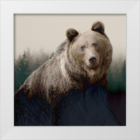 Forest Bear White Modern Wood Framed Art Print by Allen, Kimberly