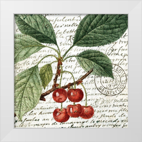 Fruit Picking 1 White Modern Wood Framed Art Print by Allen, Kimberly