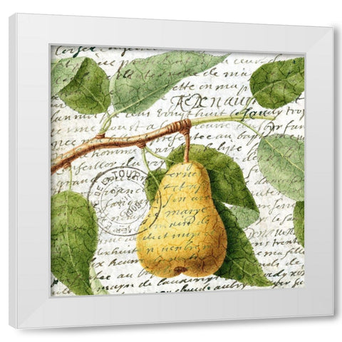 Fruit Picking 2 White Modern Wood Framed Art Print by Allen, Kimberly