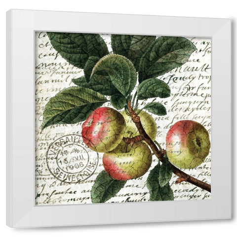 Fruit Picking 3 White Modern Wood Framed Art Print by Allen, Kimberly