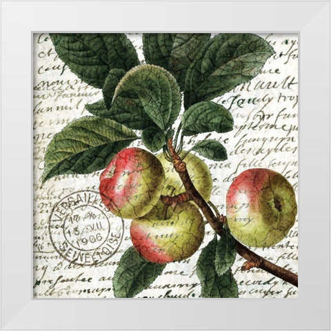 Fruit Picking 3 White Modern Wood Framed Art Print by Allen, Kimberly