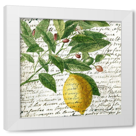 Fruit Picking 4 White Modern Wood Framed Art Print by Allen, Kimberly