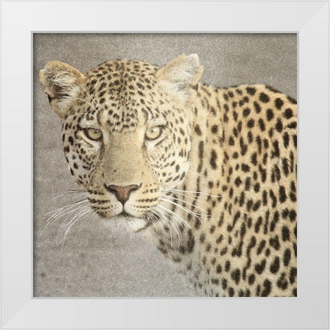 God Is Our Refuge Leopard v2 White Modern Wood Framed Art Print by Allen, Kimberly