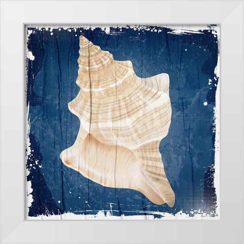 Coastal Shells 1 White Modern Wood Framed Art Print by Allen, Kimberly