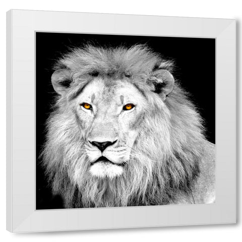 King White Modern Wood Framed Art Print by Allen, Kimberly