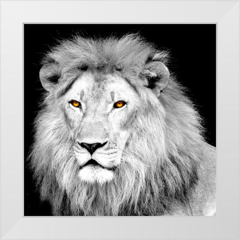 King White Modern Wood Framed Art Print by Allen, Kimberly