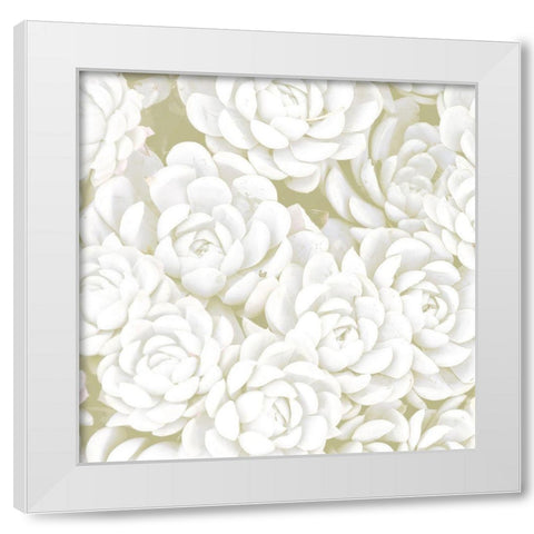 Succulent Sage 1 White Modern Wood Framed Art Print by Allen, Kimberly