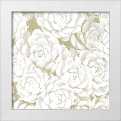 Succulent Sage 1 White Modern Wood Framed Art Print by Allen, Kimberly