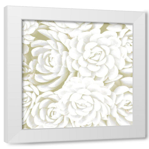 Succulent Sage 2 White Modern Wood Framed Art Print by Allen, Kimberly