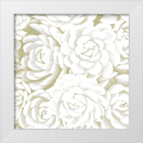 Succulent Sage 2 White Modern Wood Framed Art Print by Allen, Kimberly